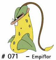 N 071 Empiflor